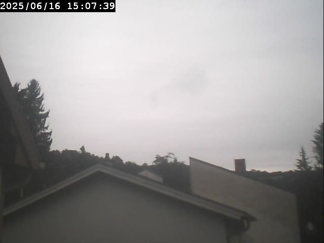 WebCam Bild
